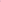 Premium Pink velvet bell pants