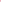 Pink shine for jesus embroidery pocket pants set